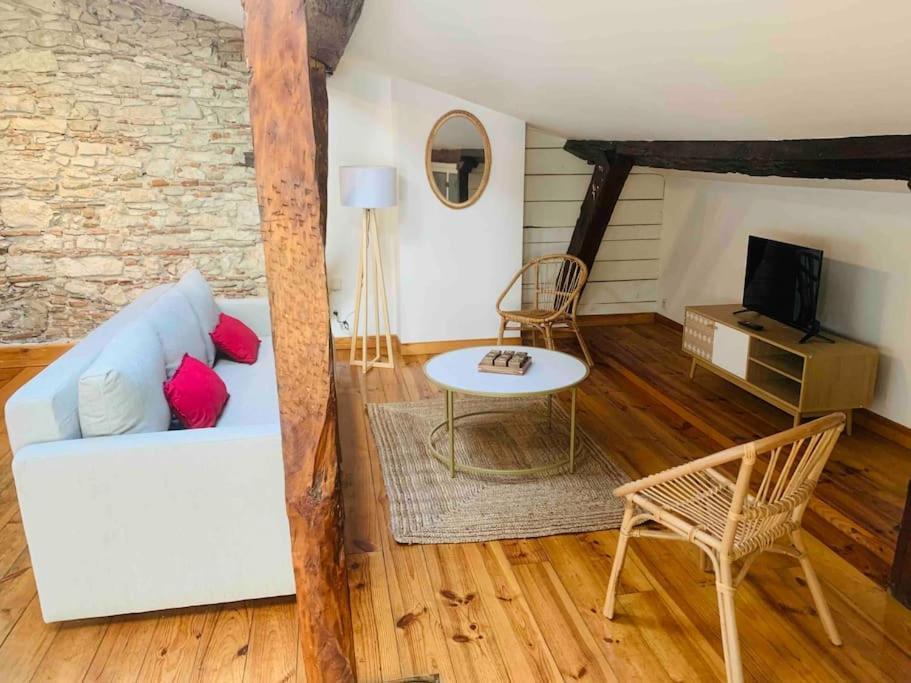 Spacieux Appartement En Plein Coeur De Castres Castres  Exterior foto